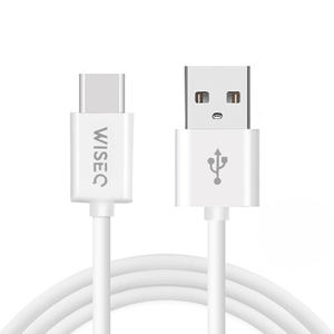 Witte WiseQ USB naar USB C oplaadkabel 1 meter geschikt voor Samsung en iPhone close up van USB en USB C connector recht vooraanzicht